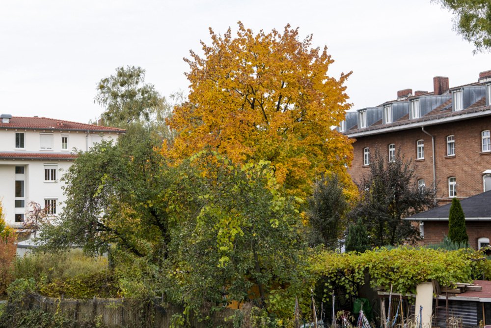 Gleisharfe Neuaubing 2 MunichAubing buy new build Condominium