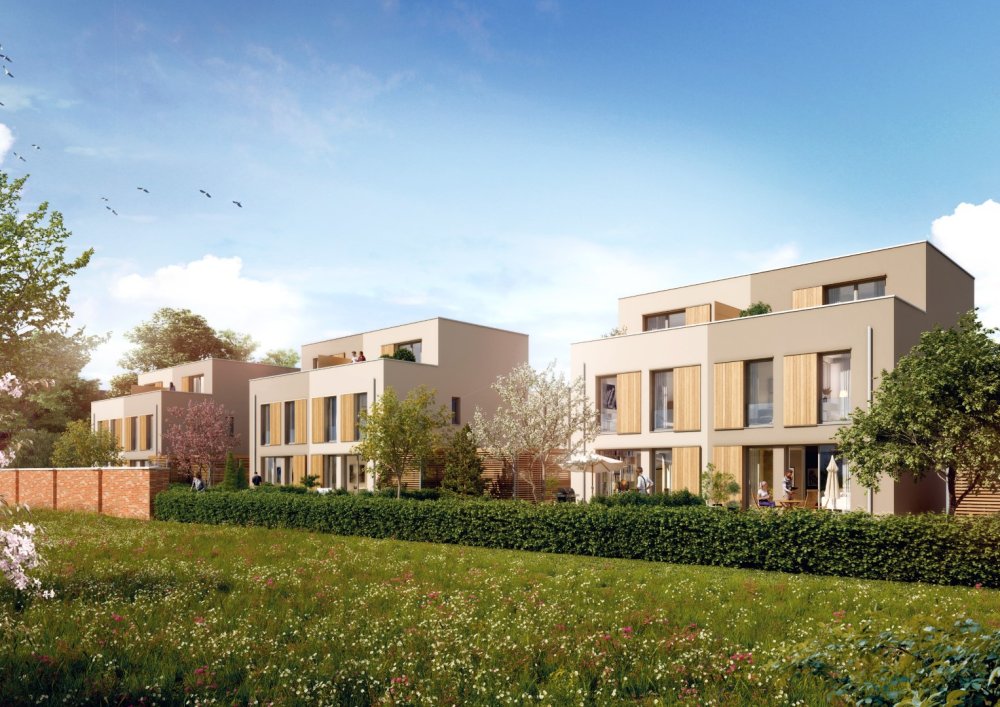 Image new build property houses Vielfalt York Gremmendorf / Munster