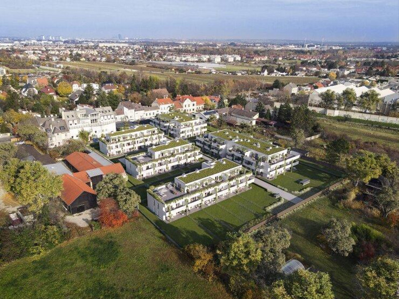 THE VINEYARD. 4 Zimmer Familienwohnung und 190m² Eigengarten.