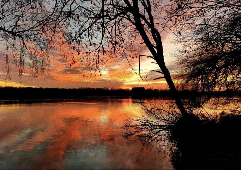 unterbacher see1.jpg