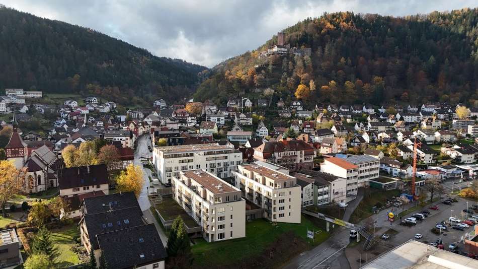 0058 ba1ba2 ubersichtvonbs.jpg