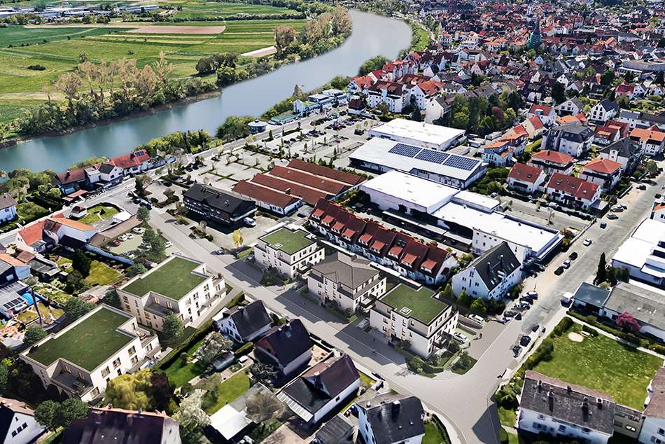 bild-5.jpg