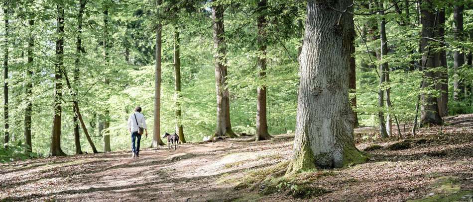 Die Natur direkt vor der Tür