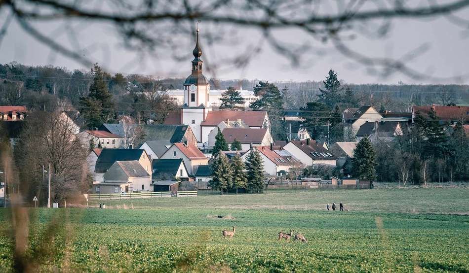 Wohnen in Machern