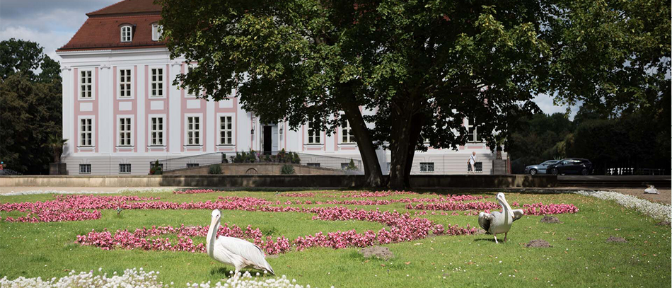 Tierpark Friedrichfelde