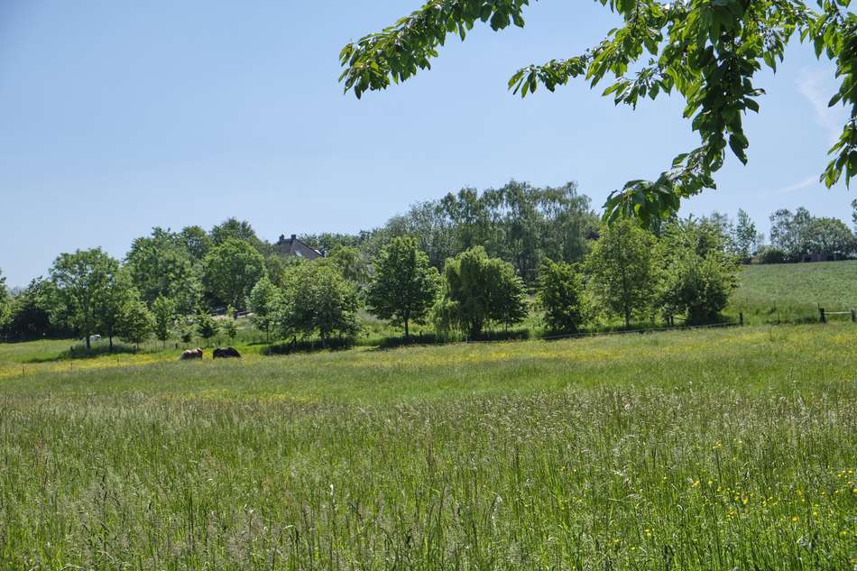 Am Donnerberg