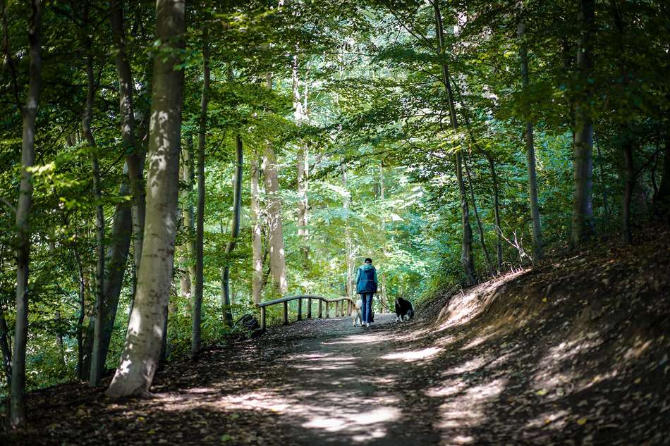 Pausmühlenbach