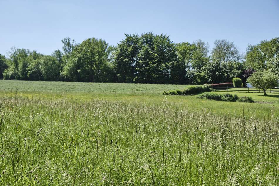Am Donnerberg