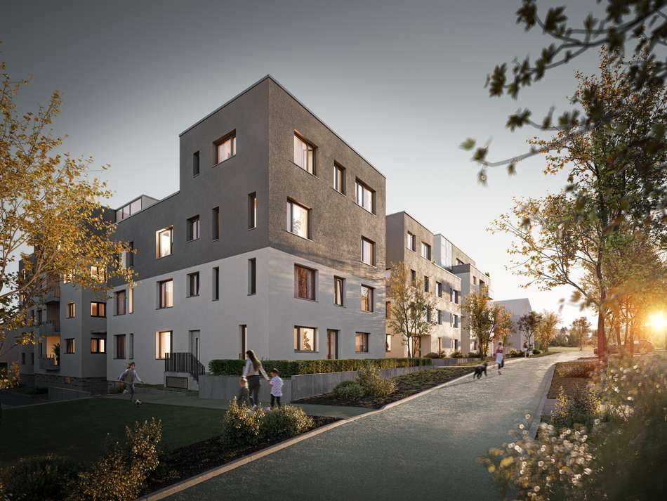 231127birkenfeldpersp2fina
