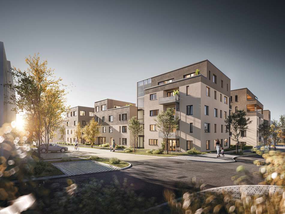 231127birkenfeldpersp1fina