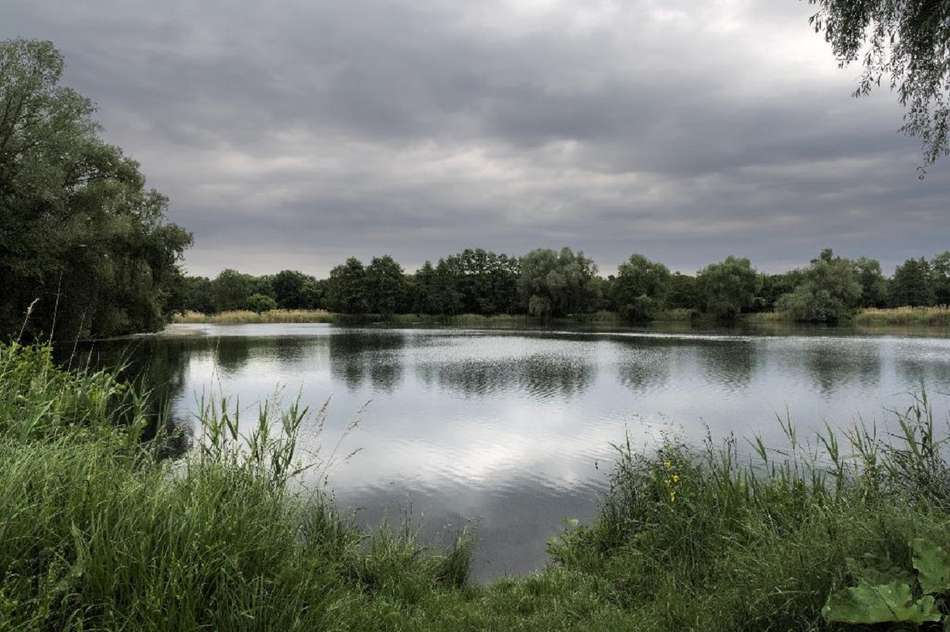 Niederwiesenweiher