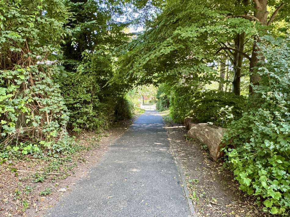 Alsterlauf  & Umgebung