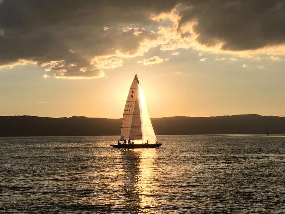 pfeilinderabendsonne.jpg
