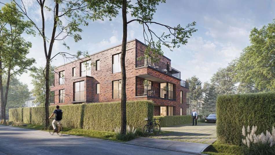 kleine auflosung 2024 09 04 - 