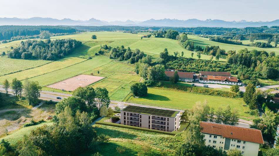 VogelperspektiveRuckseite