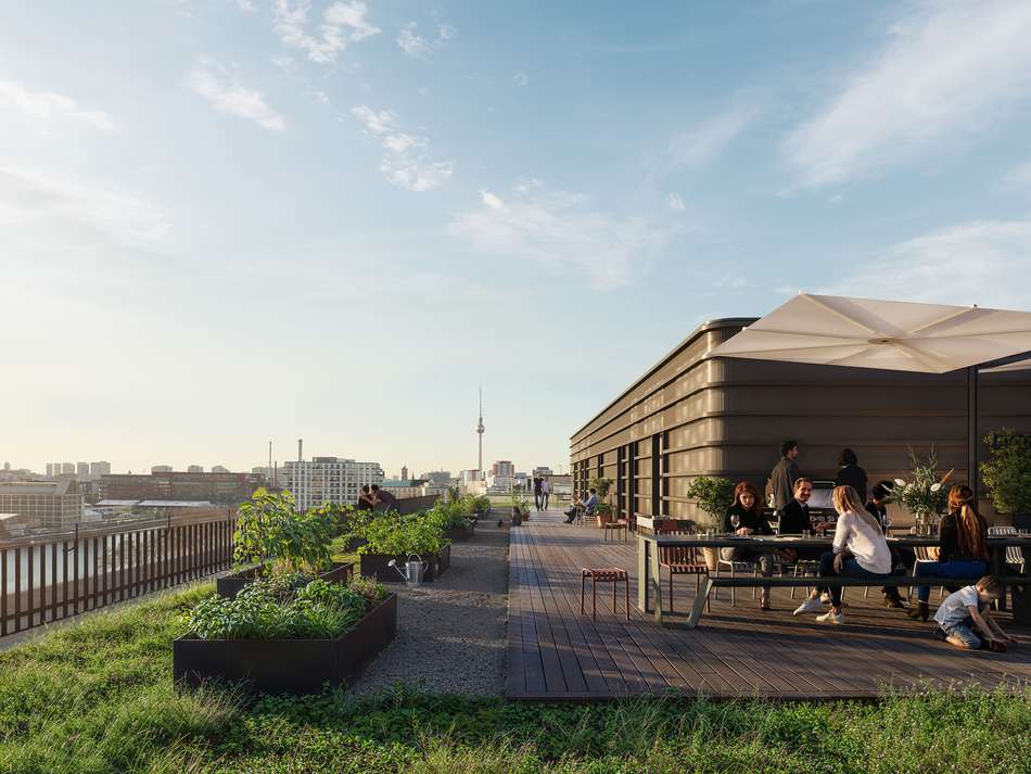 Gemeinschafts-Dachterrasse