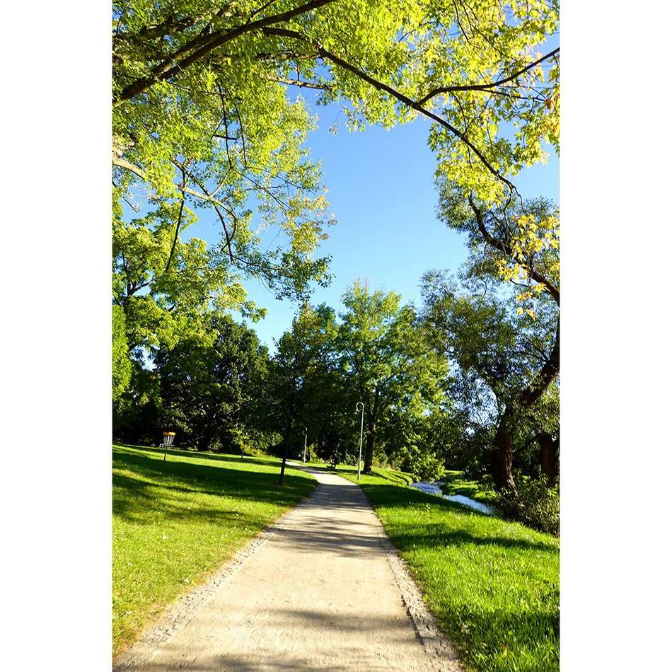 park.jpg